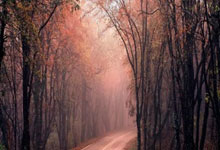 哪里有最体育直播免费看？这些渠道和注意事项要了解！